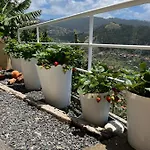 Tropical House Hébergement de vacances *