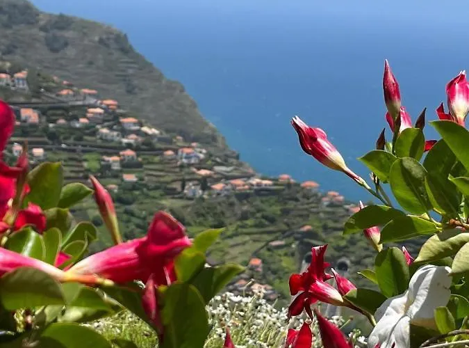 Tropical House Ferienhaus Ribeira Brava