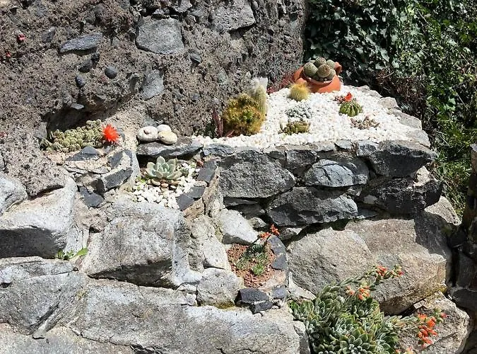 Tropical House בית נופש