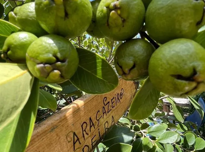 בית נופש Tropical House ריביירה בראבה