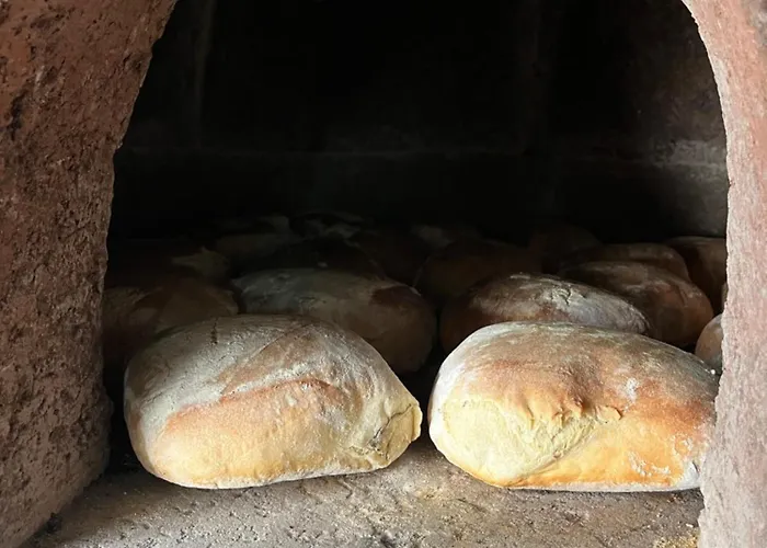 בית נופש Tropical House *