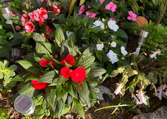 Tropical House Ribeira Brava