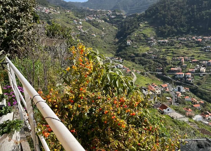 Tropical House Tatil Evi Ribeira Brava