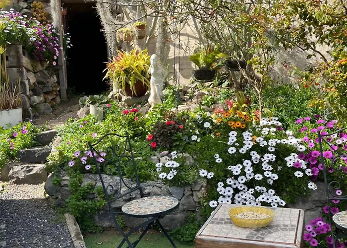 Tropical House Ribeira Brava