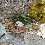 Tropical House Holiday home Ribeira Brava