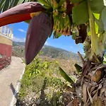Tropical House Ribeira Brava