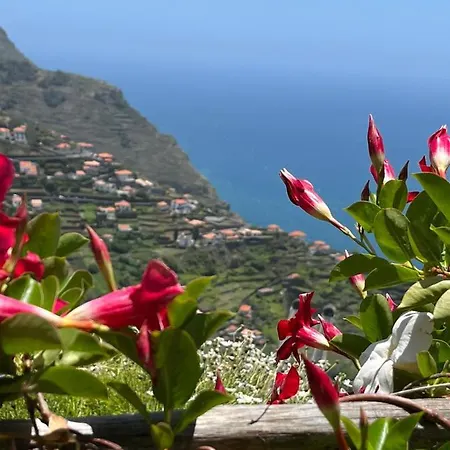 Tropical House Prázdninový dům Ribeira Brava
