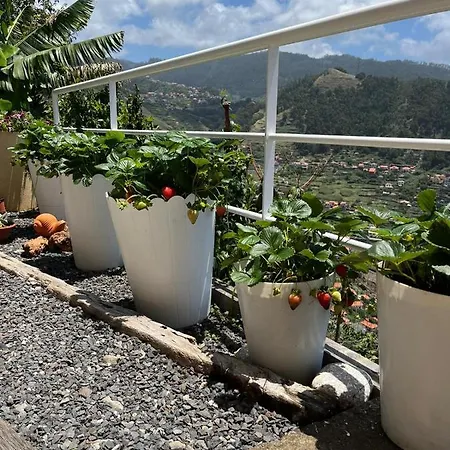 Tropical House בית נופש *