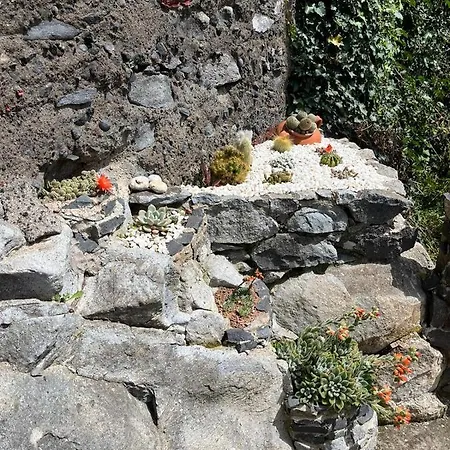 Tropical House Casa vacanze