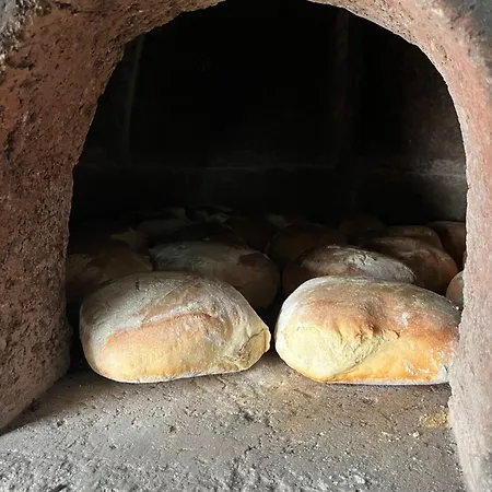 Casa vacanze Tropical House *