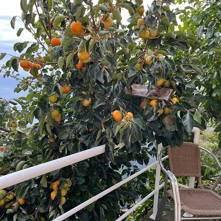 Tropical House בית נופש