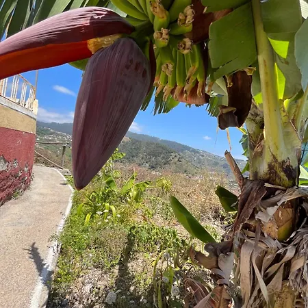 Tropical House Ribeira Brava