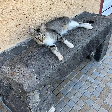 Tropical House Рибейра-Брава