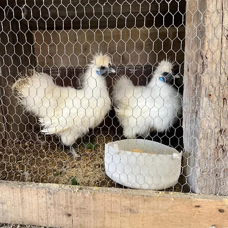 Tropical House * リベイラ・ブラーヴァ