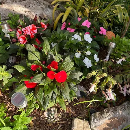 Tropical House Ribeira Brava