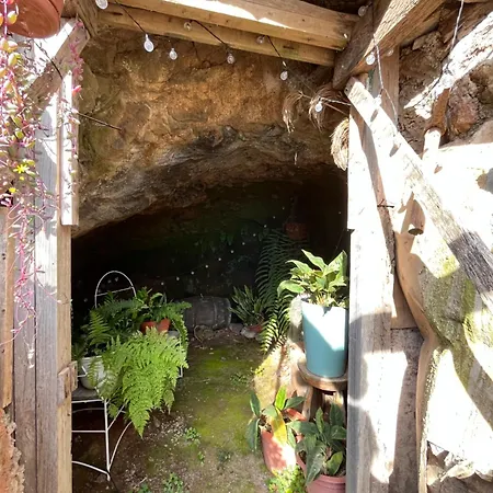 Tropical House Casa vacanze Ribeira Brava