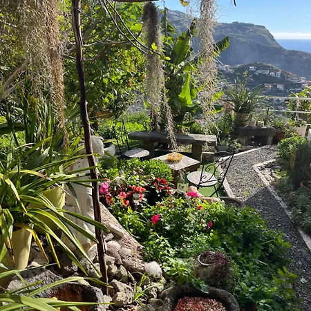 Vakantiehuis Tropical House