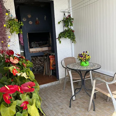 Tropical House 펜션