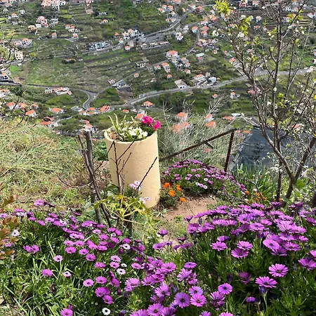 Tropical House 펜션 *