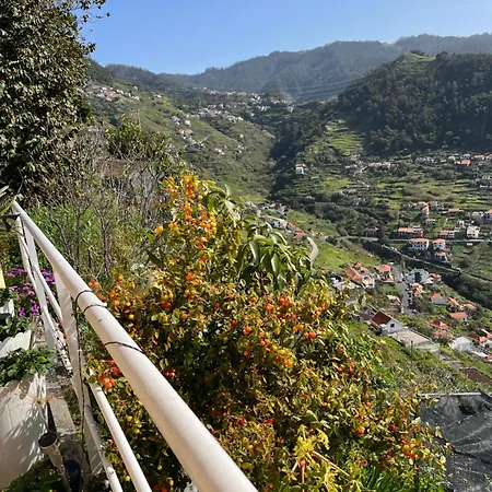 Tropical House Casa vacanze Ribeira Brava