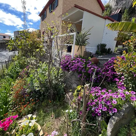 Tropical House 펜션