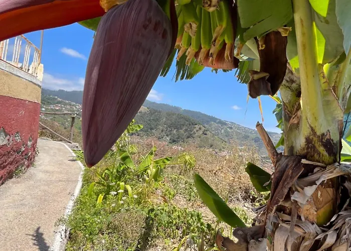 Tropical House Ribeira Brava