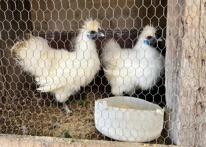 Tropical House * Ribeira Brava