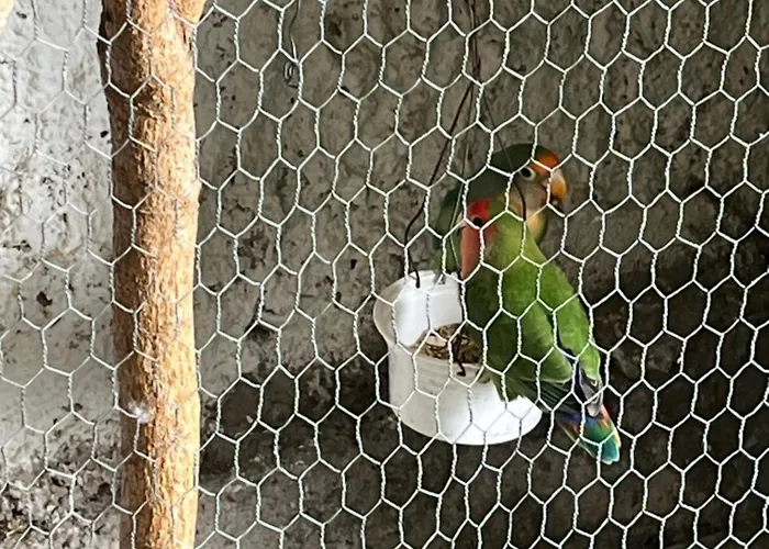 Vakantiehuis Tropical House Ribeira Brava