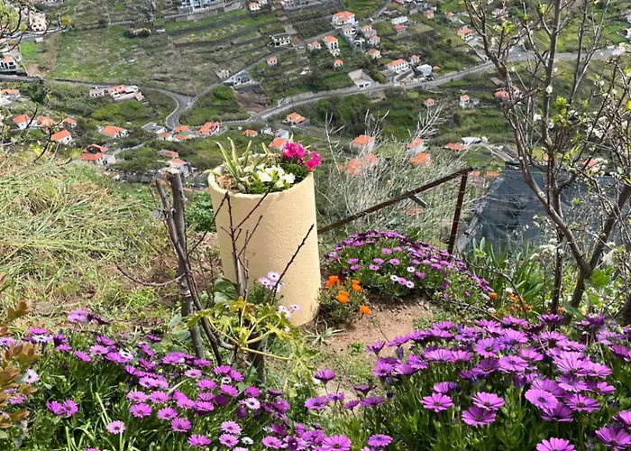 Tropical House 펜션 *