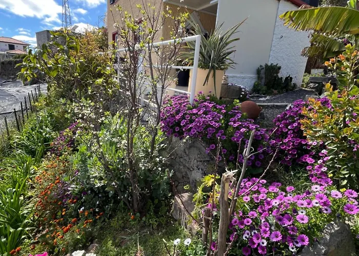 Tropical House 펜션